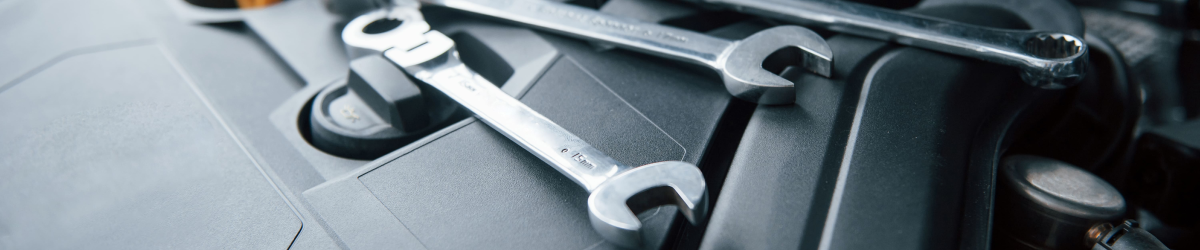 Теплый прием в Автомире! 